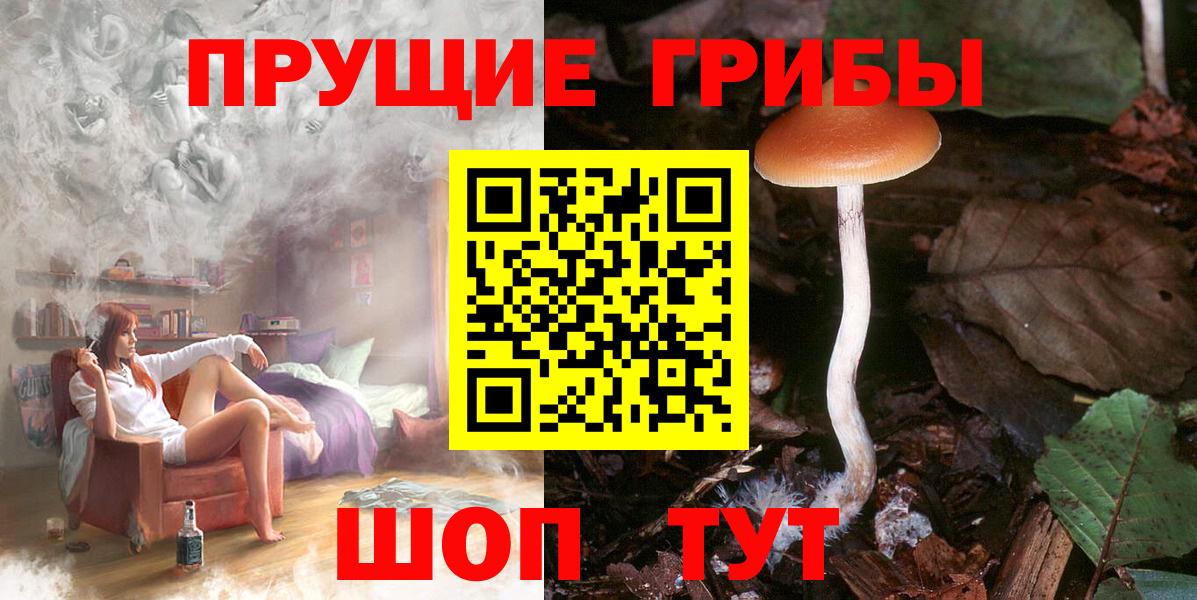 Псилоцибиновые грибы GOLDEN TEACHER Коркино